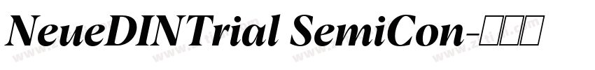 NeueDINTrial SemiCon字体转换